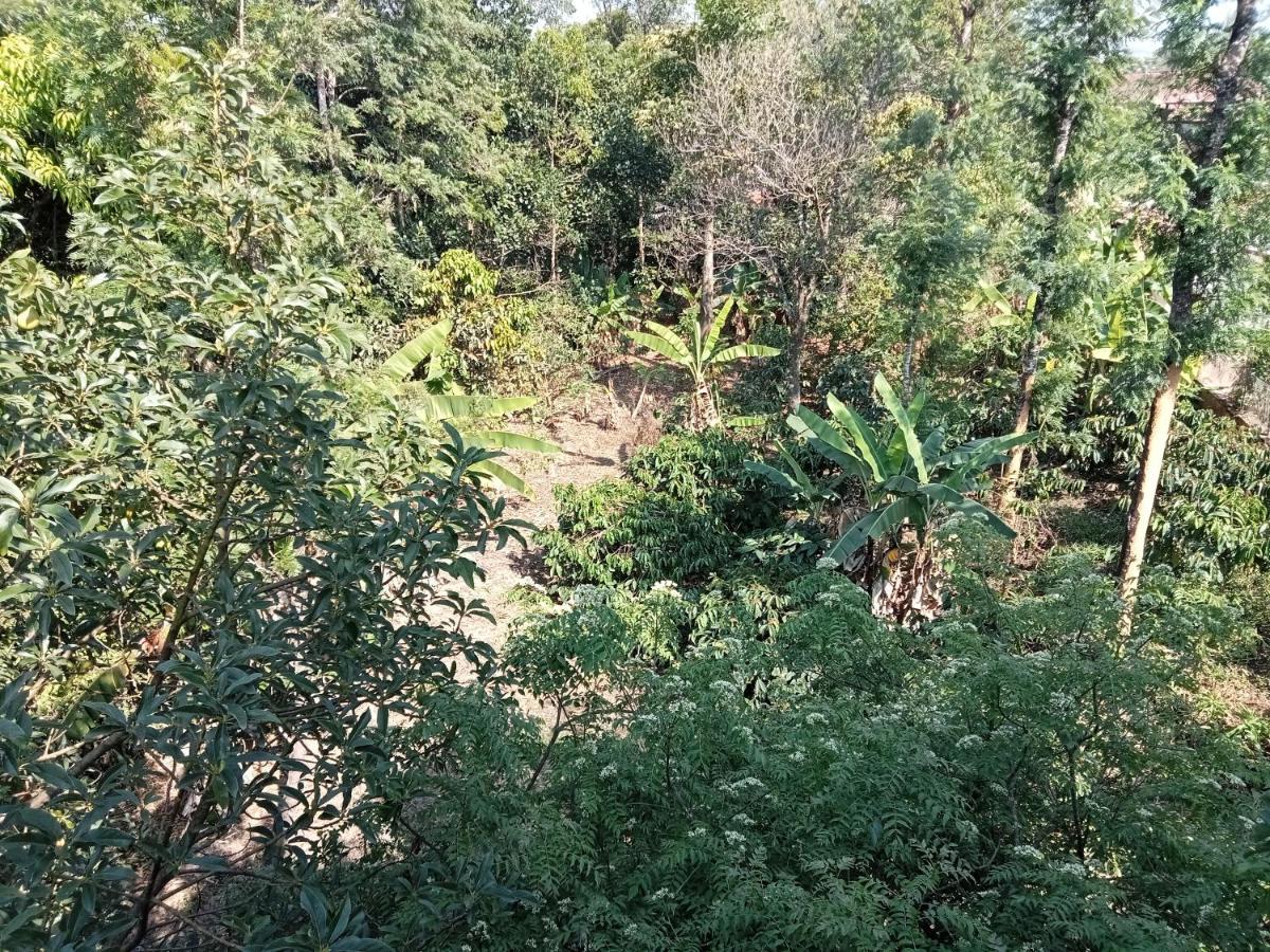 Krupa Homestay Madikeri Zewnętrze zdjęcie